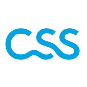 CSS - Agentur Zürich