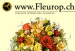 Wittwer Blumen Gartenbau AG